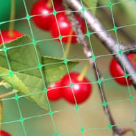 Siatka osłonowa na ptaki w rolce 4,8 m x 200 m