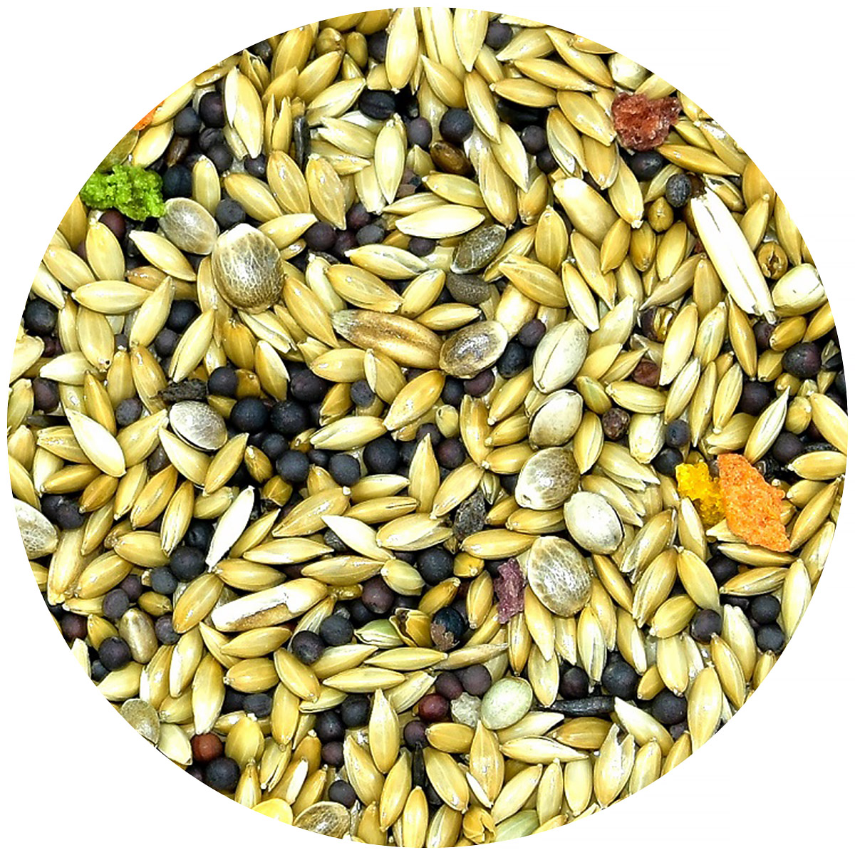 Karma dla kanarka Exclusive Vita-Organic MDM 10 kg