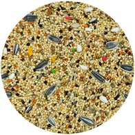 Karma dla małych papug Energy Taste Vita-Organic MDM 10 kg