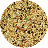 Karma dla papug falistych Australian Taste Vita-Organic MDM 10 kg