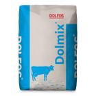 Witaminy dla krów mlecznych Dolmix BM Dolfos 20 kg