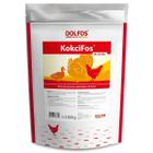 Witaminy dla drobiu na kokcydiozę, bakterie i grzyby KokciFos Dolfos 1 kg