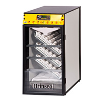 Inkubator OvaEasy 190 Advance AUTO