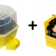 Inkubator na 60 jaj klujnik wyświetlacz + GRATIS moduł