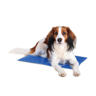 MATA CHŁODZĄCA DLA PSA KOTA 50x40cm Niebieska HIT