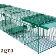 Pułapka na lisy kuny wydry jenoty  2 wejścia żywołowna XXL i rękawice gratis