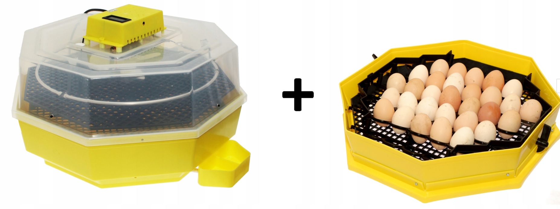zdjecie 1 - Inkubator na 60 jaj klujnik wyświetlacz + GRATIS moduł 