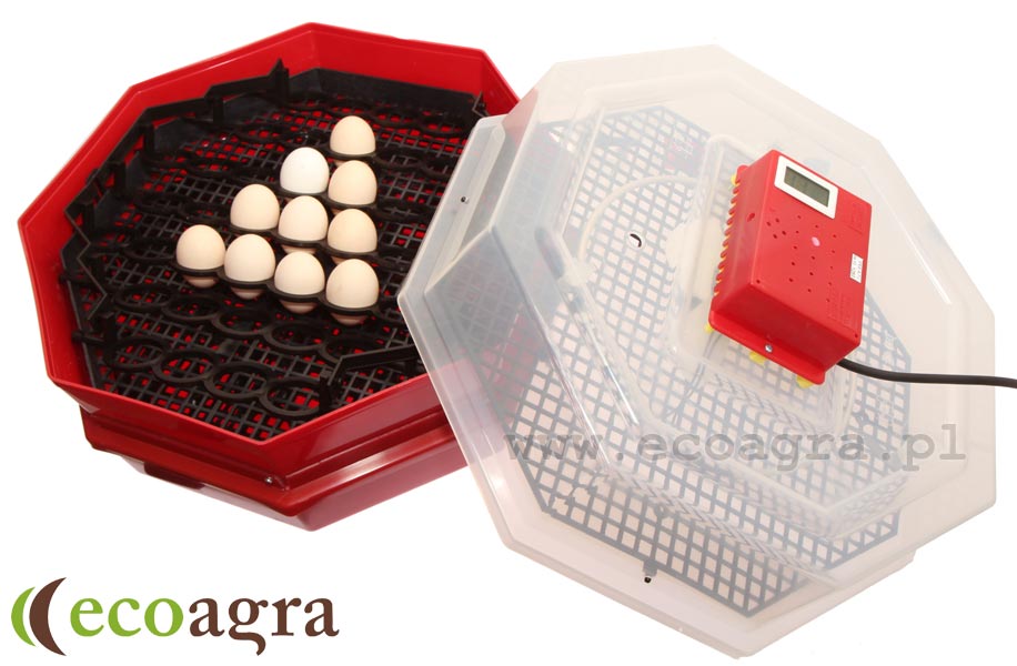 zdjecie 2 - Inkubator wylęgarka klujnik OKTAGON 120 + LCD + HIGRO